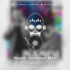 Nandi Untamed - Afro House & Amapiano Mix