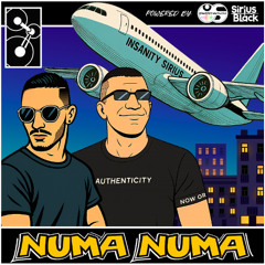 Sirius Black & Insanity Sound - Numa Numa