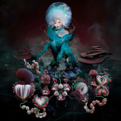 Sorrowful Soil