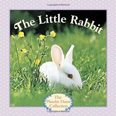 Read  [▶️ PDF ▶️] The Little Rabbit (Phoebe Dunn Collection) free