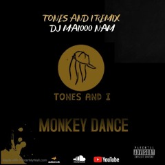 Dance Monkey (Amapiano Remix) prod. MadBeats pro.
