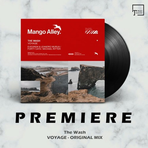 PREMIERE: The Wash - Voyage (Original Mix) [MANGO ALLEY]