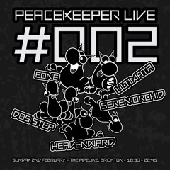 PEACEKEEPER LIVE #002 - Sunday 02/02/24 - The Pipeline, Brighton