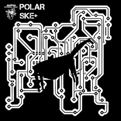 POLAR - COSMONAUTAS (2014)