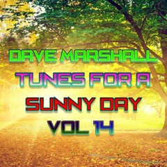 Dave Marshall - Eclectic Mix - Tunes For A Sunny Day - Vol 14