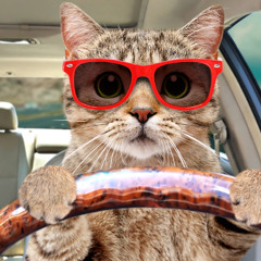 DJ CALICAT Track - The Incident