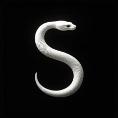 sirius-beginning