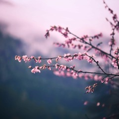 祈雨