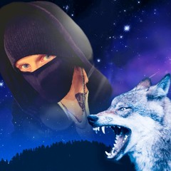 DarkWolfTekk - Thank You