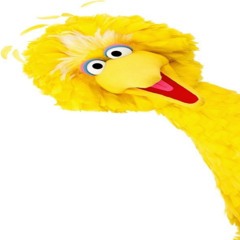 BIG YELLOW BIRD (xxtup1d)
