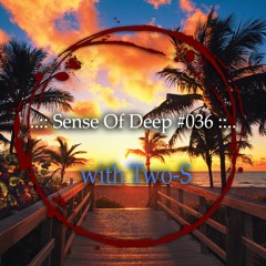 Two-S Sense Of Deep 036 (Summer 2021 Edit)