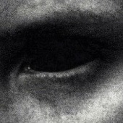 Von Wilda - ‘Whatever’