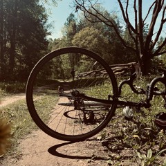 While We Still Have Time