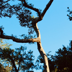 InTheNoPresents: Rhythmic Frequencies w/ Duve