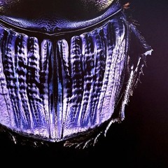 piercing the ear of sleep