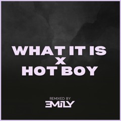 What It Is X Hot Boy | Emily Davidson mashup