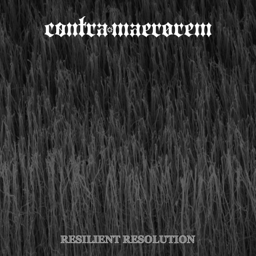 Resilient Resolution