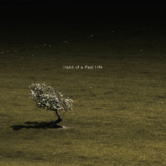 habit of a past life