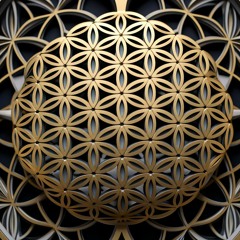 'The Pulse of the Unknown' _ journey 1