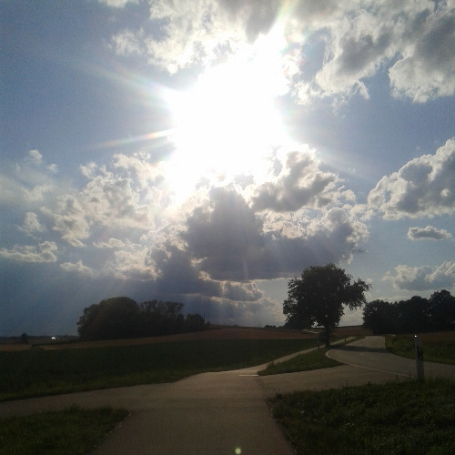 woven heaven