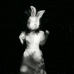 Rabbithole