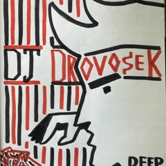 Dj Drovosek