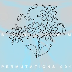 Bodycam - Permutations 001