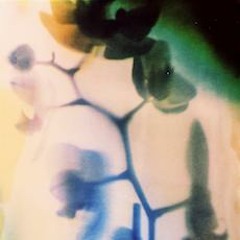 Jorge B - A1 [Jack Dept]