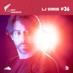 MDLBEAST Frequencies 036 - LJ Gorge