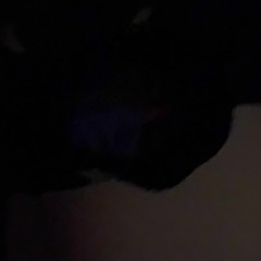 Feb late lowlights ",:/