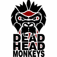 DeadHeadMonkeys - Taco Invaders (Demo)