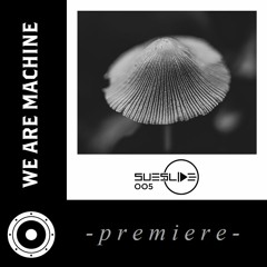 Premiere: Stephan Zovsky & FiveP - Rebirth (Manuel Meyer Remix) [Sueslide Records]