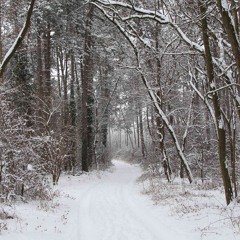 der Winter kommt ins Land gekrochen (1).mp3