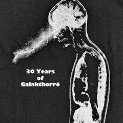 Audiopets Spezial Galakthorrö @ Radio Z