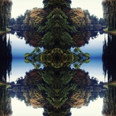 La Forêt De Chénou