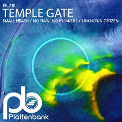 Temple Gate - No Rain, No Flowers (Preview)