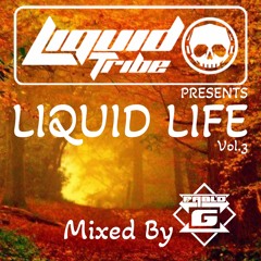Liquid Tribe Presents Liquid Life Vol 3 Mixed By Pablo G