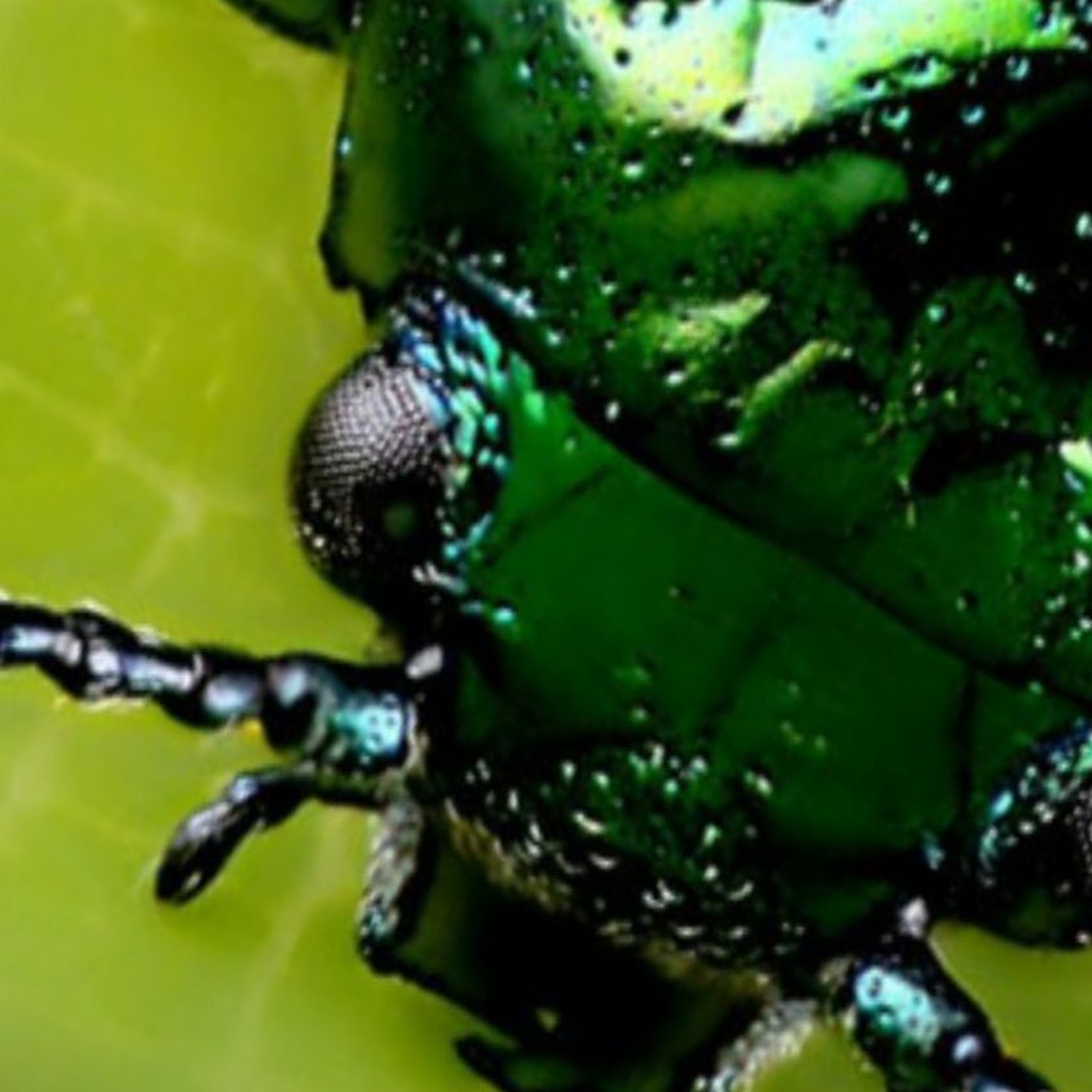 New Music from streamingkeys