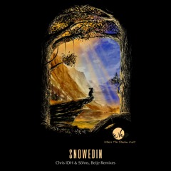 DHAthens Premiere: Snowedin - Estructura (Original Mix) [Where The Shadow Ends]