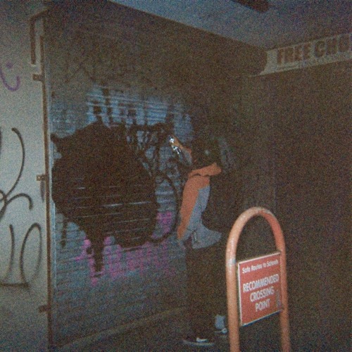 SEEN BUT NEVER HEARD