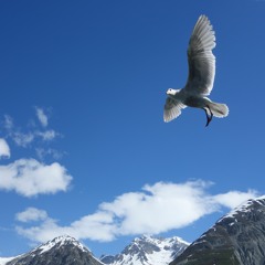 Lead Me Lord by Gary Valenciano