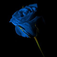 Adi penne Instrumental Cover