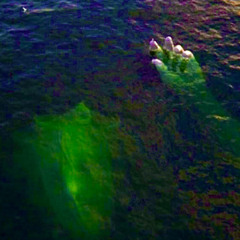 Paranormal (Haunted By the Ghost )