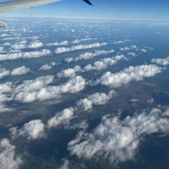 Jungle/Rollers Obsidian Mix