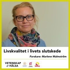 Livskvalitet i livets slutskede