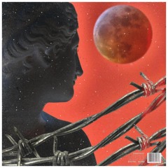 A Rose Amongst Weeds