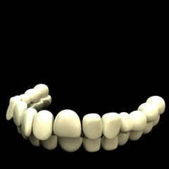 24 Teeth In An Empty Grave