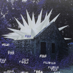 FUJI: The Serious Mix