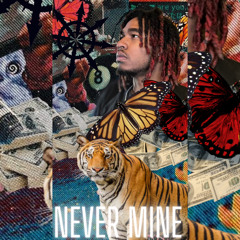 WLYPrecise - Never Mine!