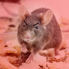 Silly Evil Mouse